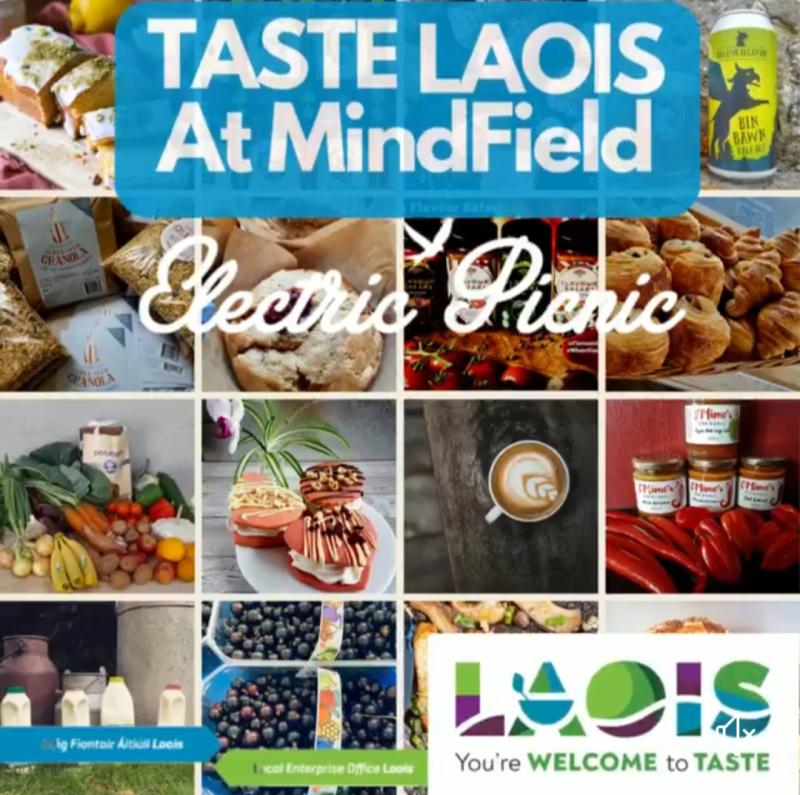 electric picnic dua lipa