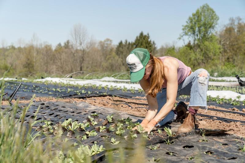 National Conference on Women in Agriculture to take place