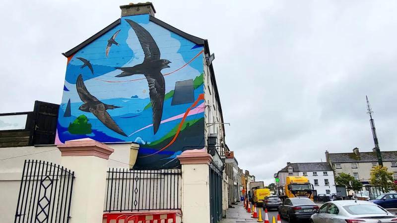 Stunning new Laois nature mural set for Culture Night launch