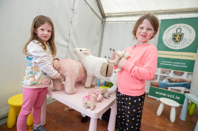Laois children deliver toy piglets and lambs at the Ploughing