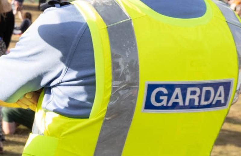 Significant damage after copper stolen from house near Laois