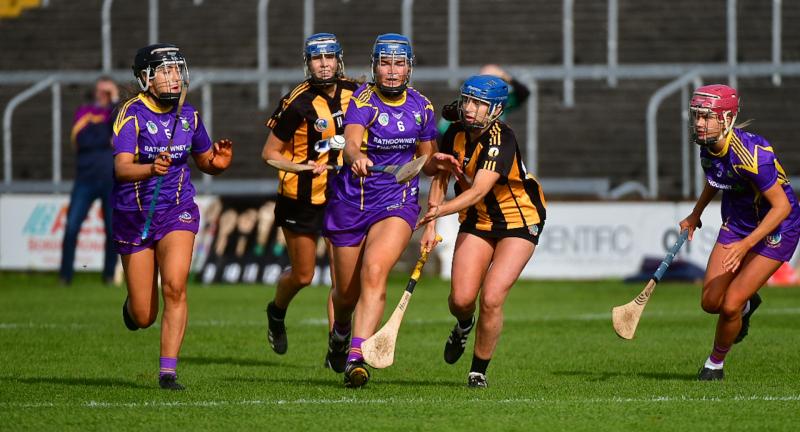 Teenager Hassett shines to help St Brigid's land historic first Intermediate title for club