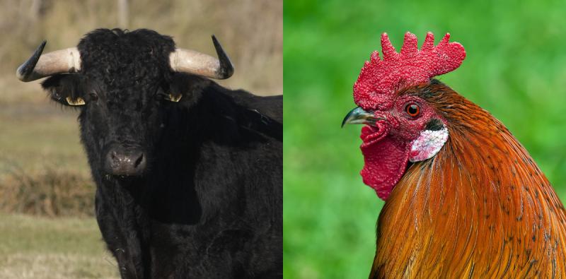 Evidence given in Midlands court was #39and bull story #39 Laois Live