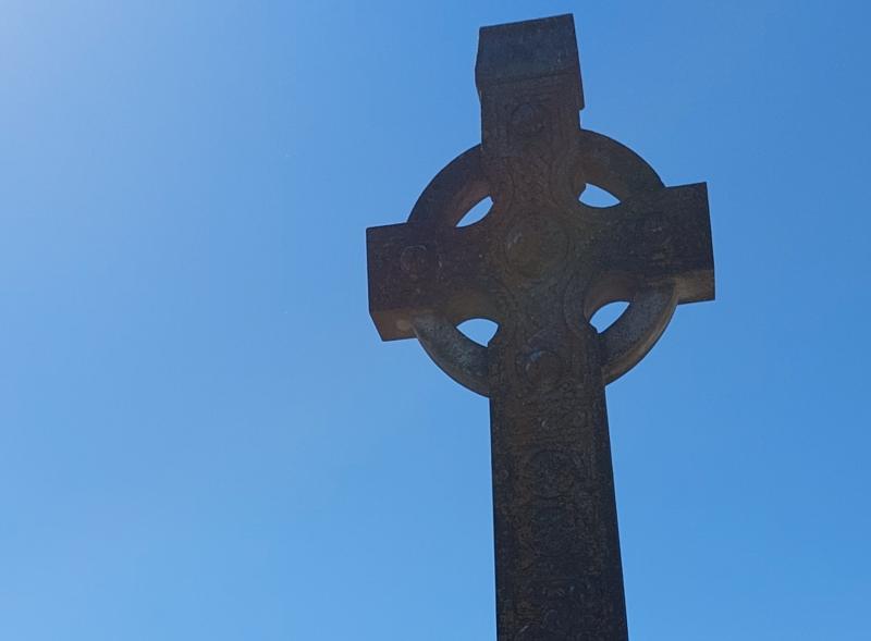 Councillor says bird-fouling in Thurles graveyard is causing ‘huge grief.’