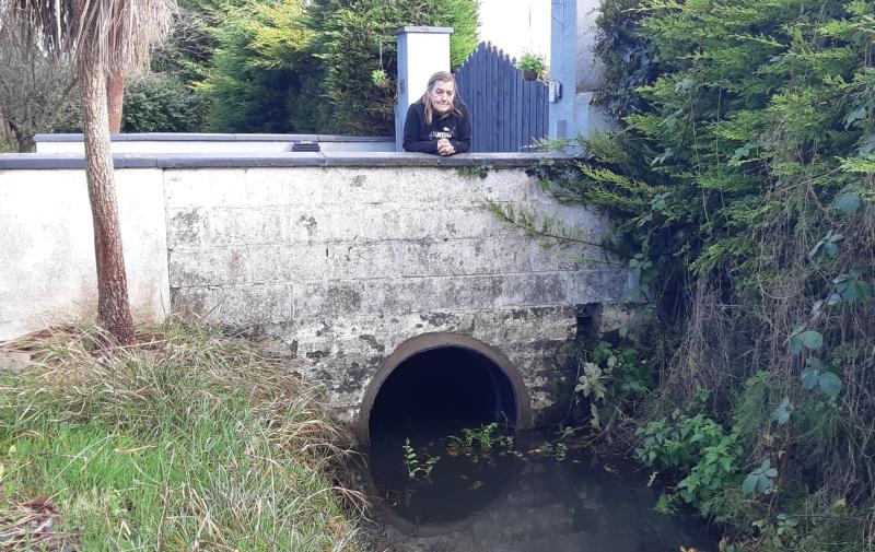 Laois flood victim fears repeat Mountmellick disaster