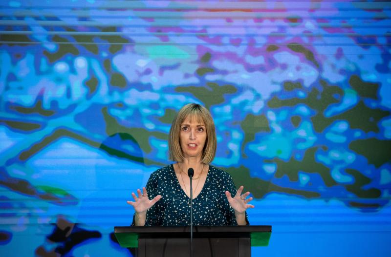 President and Taoiseach lead tributes to women's health campaigner Vicky Phelan