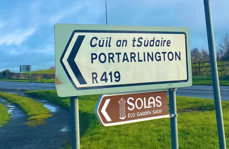 Traffic speeding to be investigated in Laois Offaly town