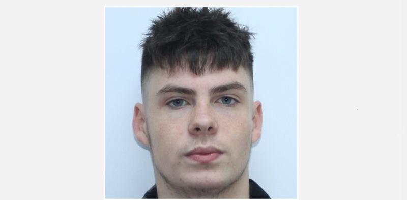 Gardai seek help in search for teenager missing from Laois home