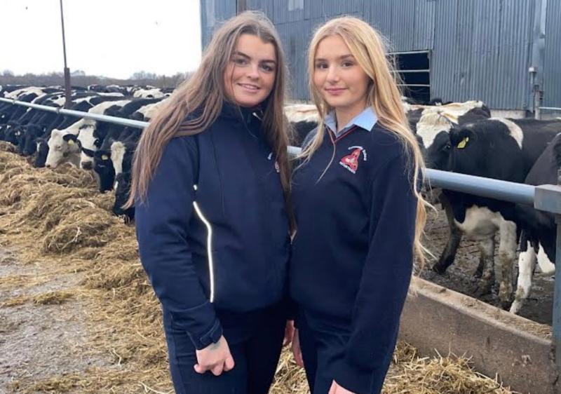 Laois Young Scientists discover pivotal dairy environmental findings