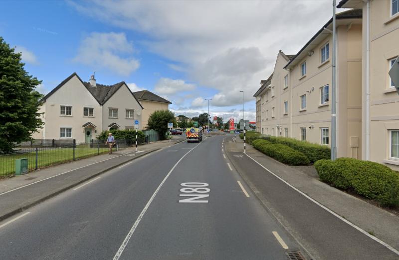 Tree roots breaking through paths in Laois housing estate