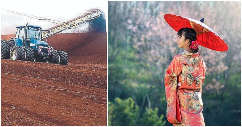 You wouldn't believe where tonnes of Midlands peat ended 