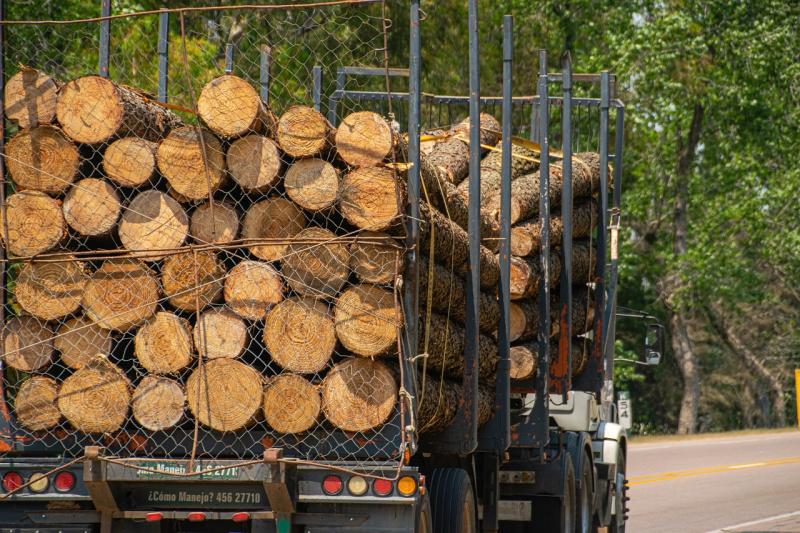'Hugely exciting time for forestry' says Laois Offaly minister after Coillte meeting as row over British forestry deal erupts