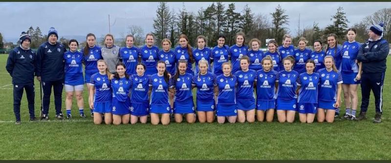 Laois Camogie team defeated in league opener against Meath