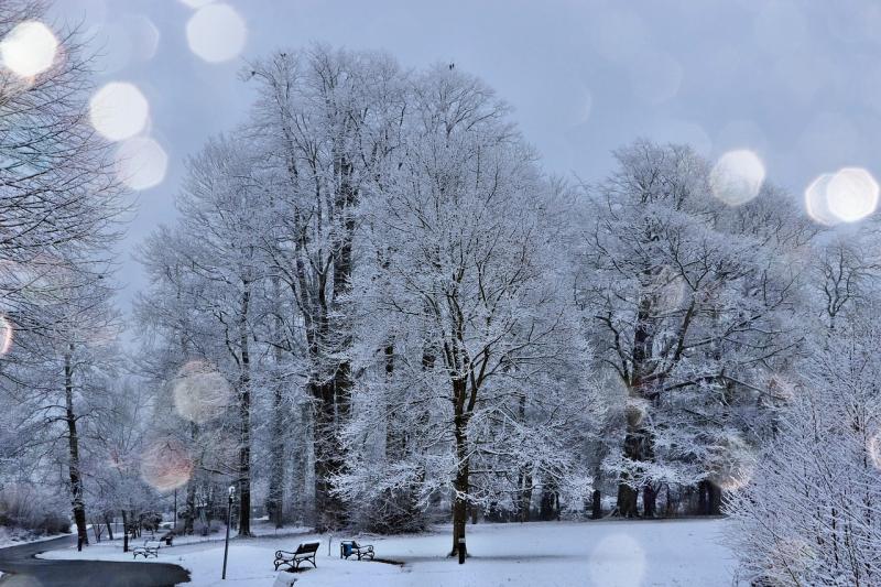 snow
