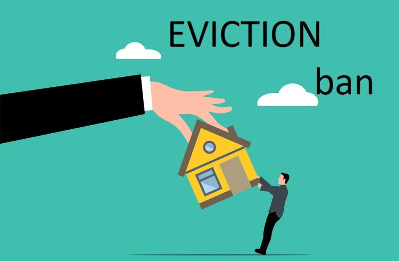 Laois renters 'terrified' by eviction threat