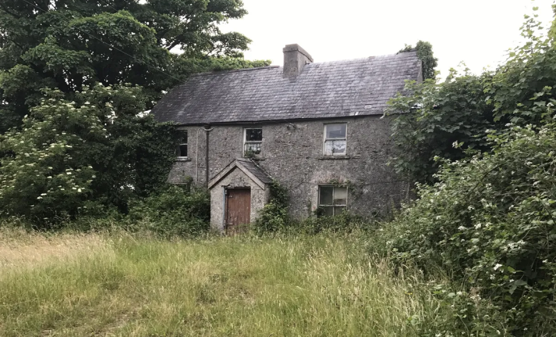 No limit on Laois Croi Conaithe house refurbishment budget
