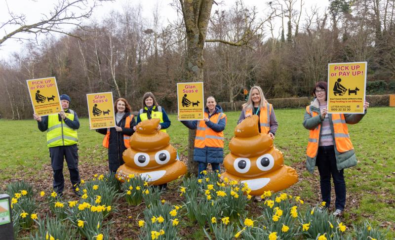 Laois dog owners to be fined for leaving poo in housing estates