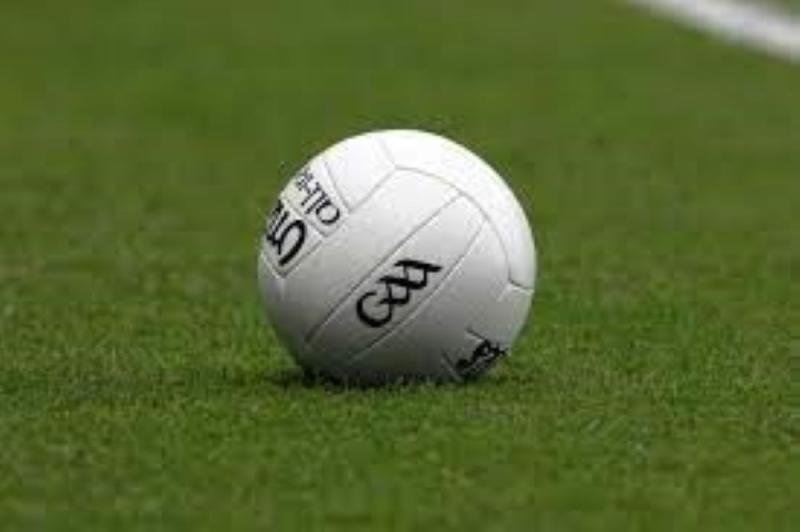 Laois GAA announce details of half-time competition at Waterford game