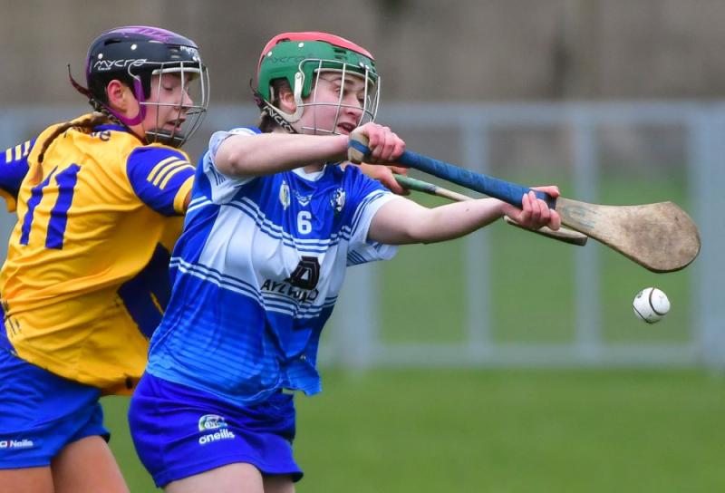 Laois Minor Camogie team beaten by The Rossies