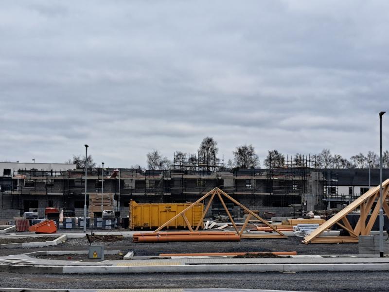 'Mickey Mouse' housing scheme to provide 'minuscule’ number of Laois homes Dáil told