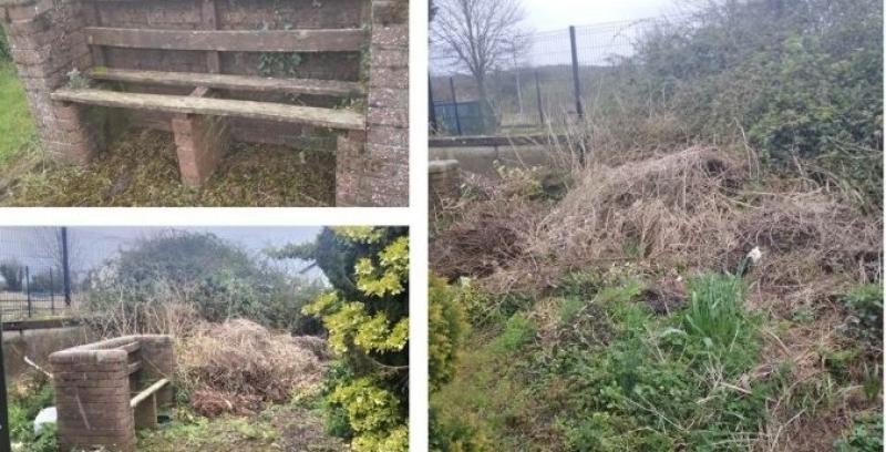 Volunteers sought for huge garden makeover at Laois elderly centre