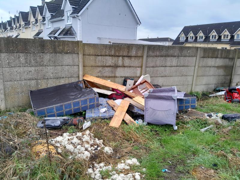 Dumping in Laois town's housing estate called out as 'criminal'