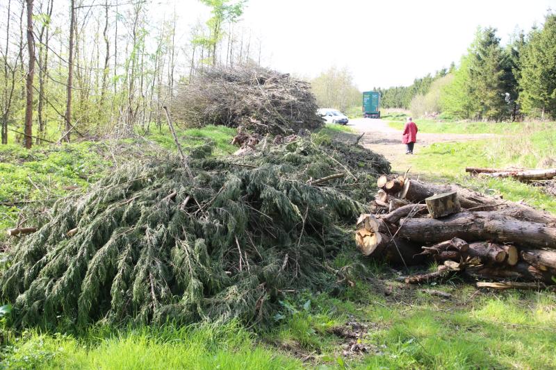 Laois Gardaí alerted over "commercial dumping " in private forest