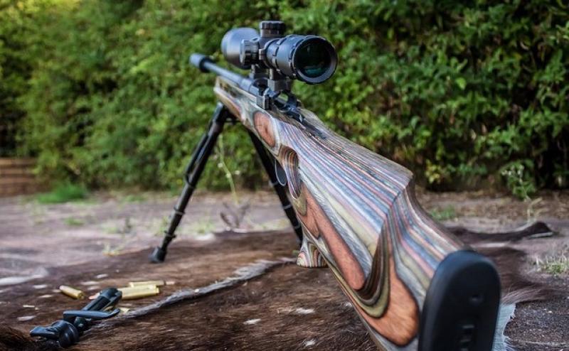 deer cull