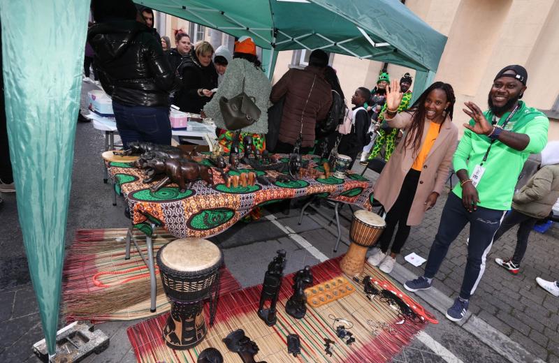 laois africa