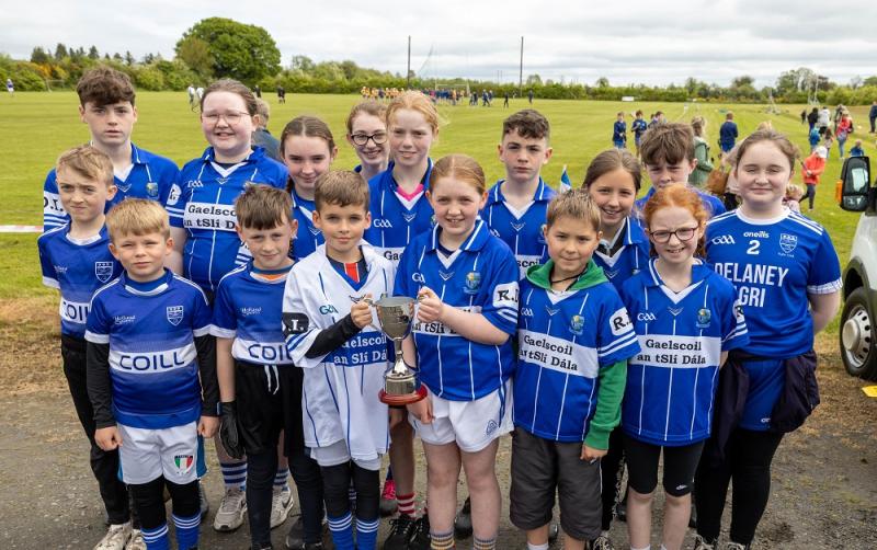 Laois GAA club on the search for Fittest Family 
