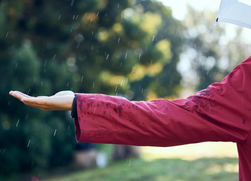 Weather Forecast: Met Eireann forecasts when spell of hot weather will end