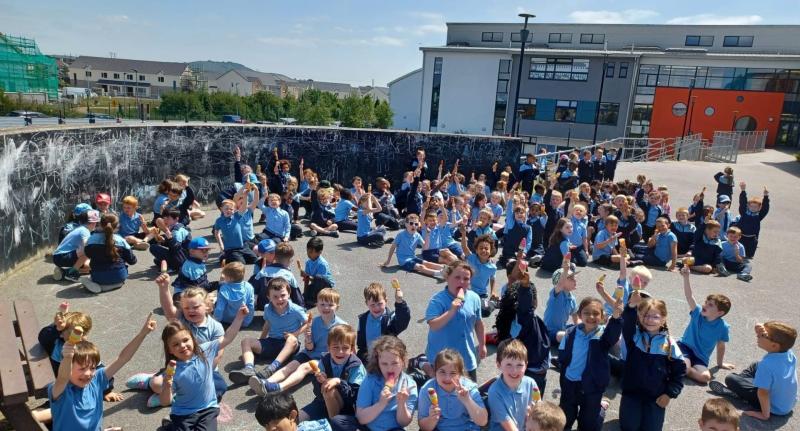 'Nobody wants to see a child without a school place' Portlaoise full say principals