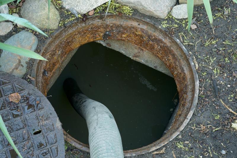 Laois septic tank failures 