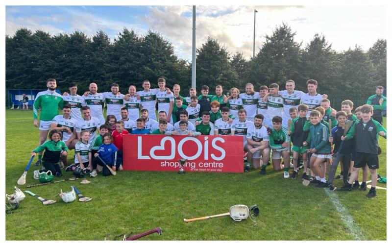 Goals prove key as Portlaoise crowned Division 2 hurling champions 