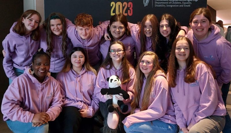 Callout for Laois teens to get political in Comhairle na n&Oacute;g