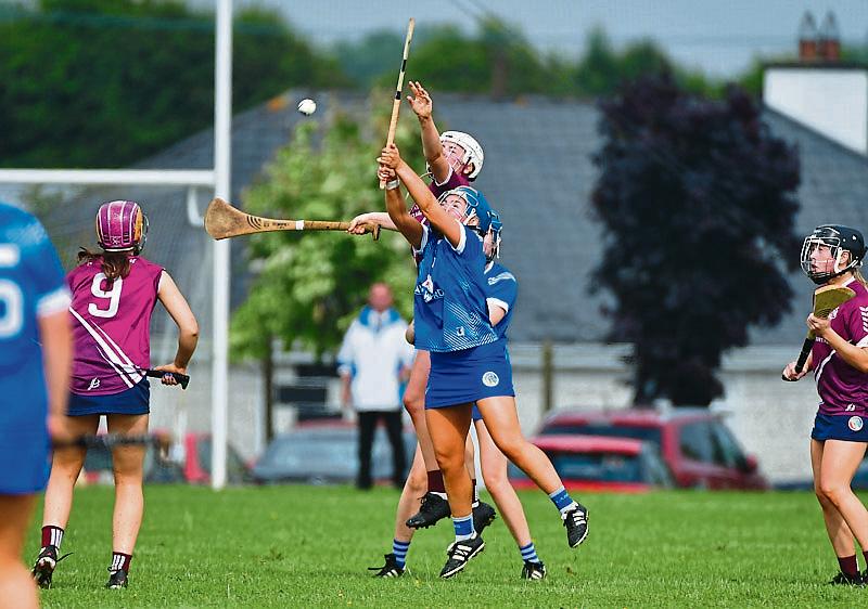 Groundhog day for Laois camogie as venue set with relegation scrap with Dubs