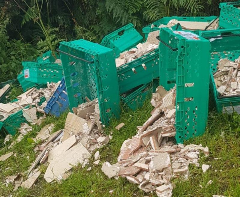 Illegal dumping at top Laois tourist destination