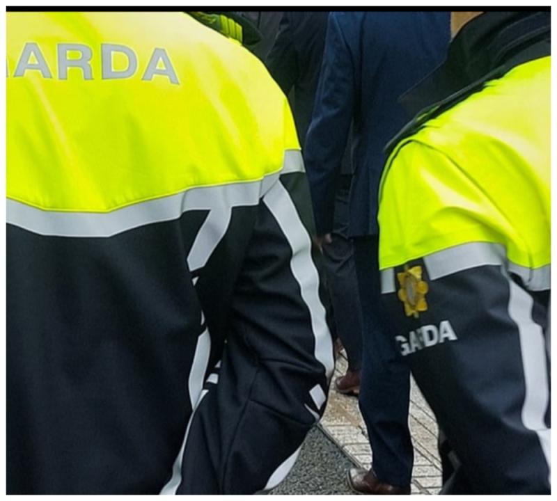 Laois Gardai arrest man and seize imitation handgun