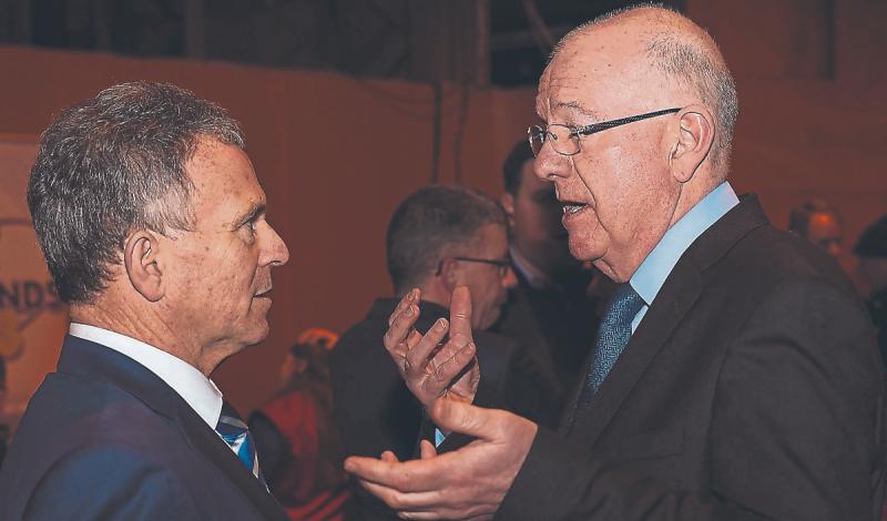 Laois Government TD warns of voter 'backlash' over byelection kite