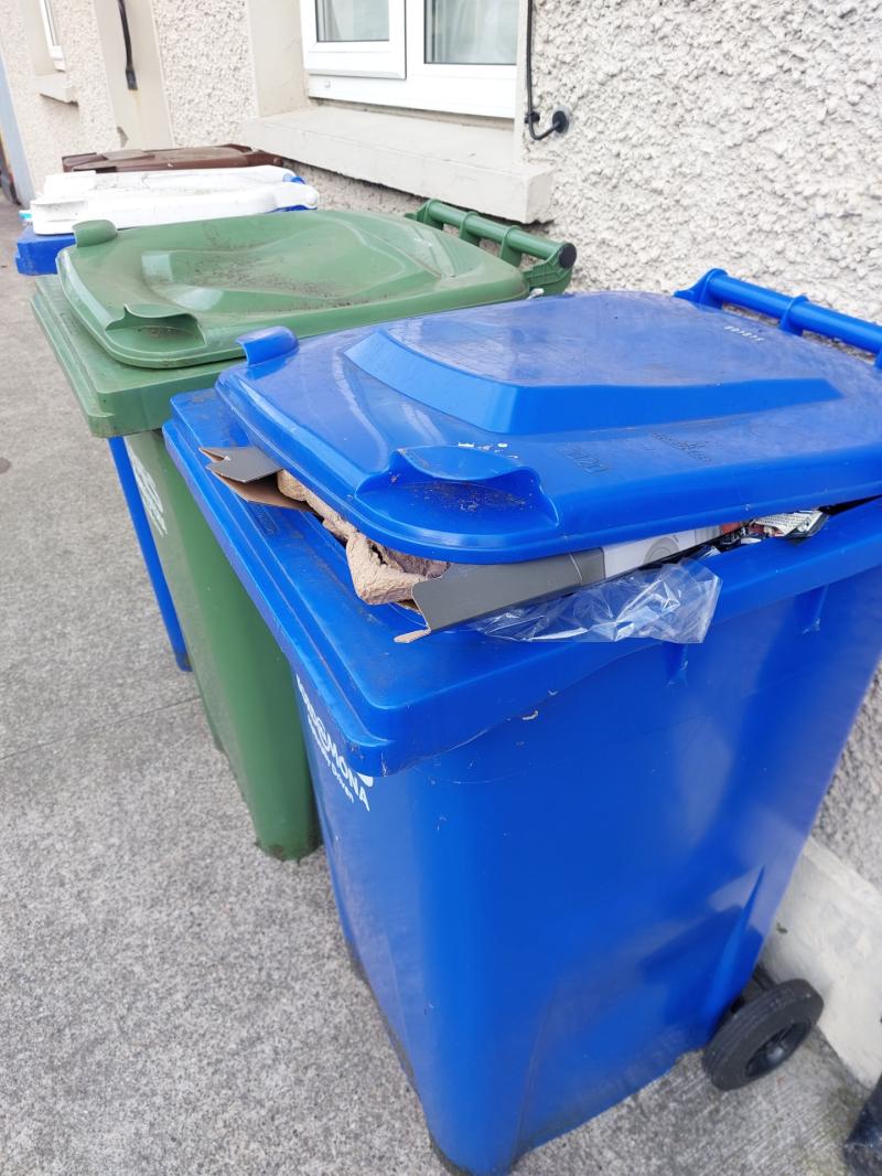 Bin company announces Laois collection delay due to death Laois Live