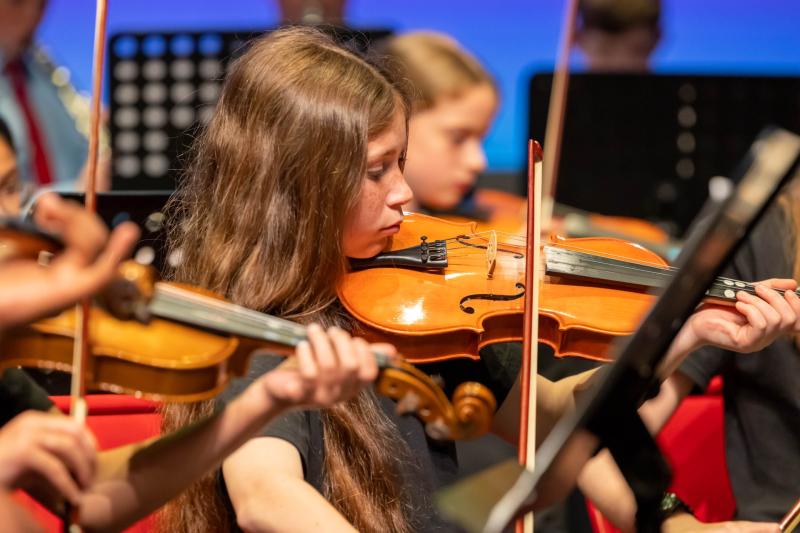 Offer to try out a new musical instrument free in Laois