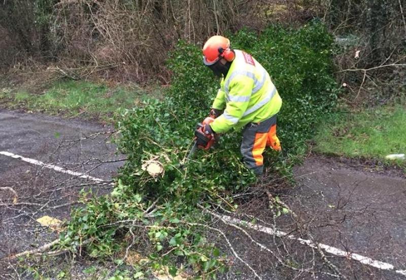 Storm Agnes downs trees and causes flooding around Laois
