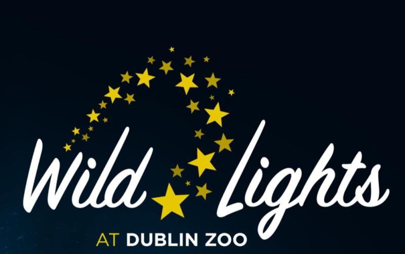 Events in Ireland this winter: Dublin Zoo's 'Wild Lights' return date revealed