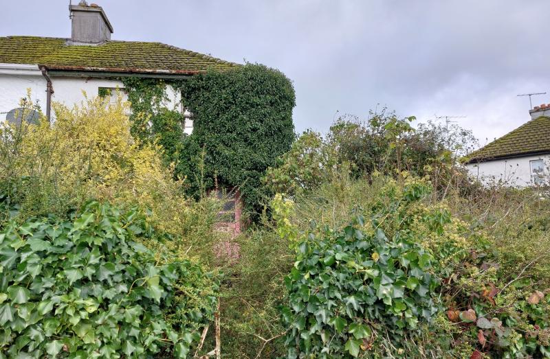 Over 500 vacant and derelict properties identified in Laois towns