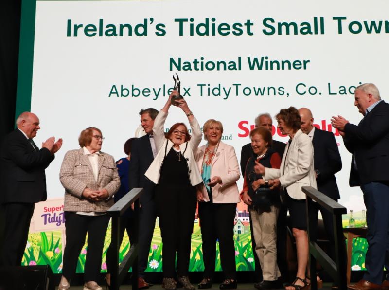 Money en route to Laois Tidy Towns groups