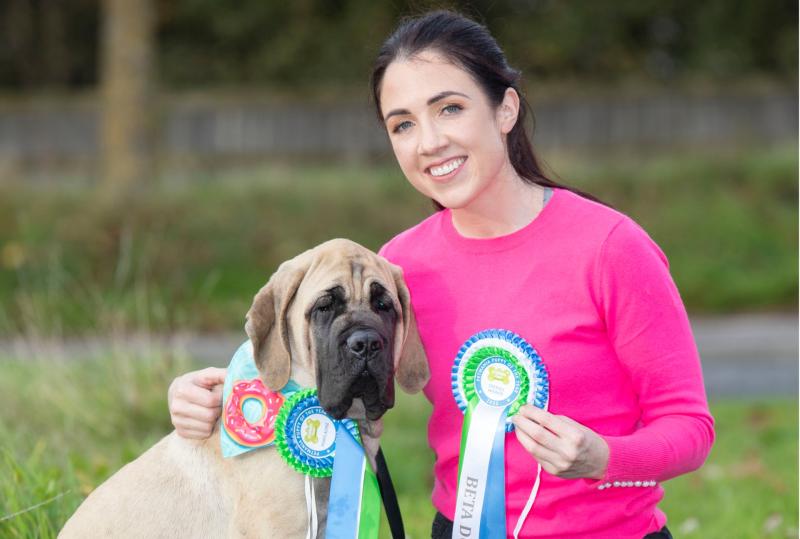 Huge Laois puppy wins Puppy of the Year competition