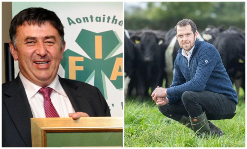ifa