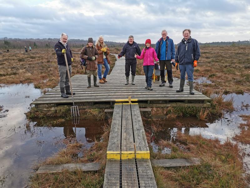 Learn about Laois bog project two decades in the making this November