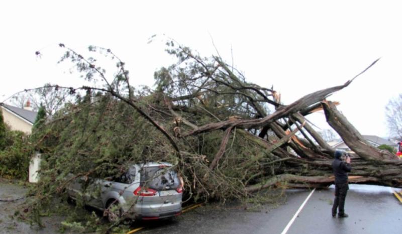 storm deb