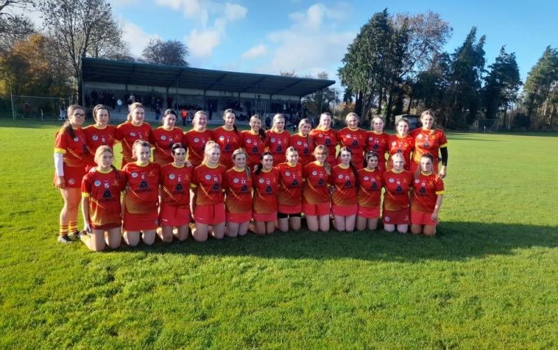 The Harps suffer Leinster Camogie final heartbreak  against Wicklow&rsquo;s Knockananna